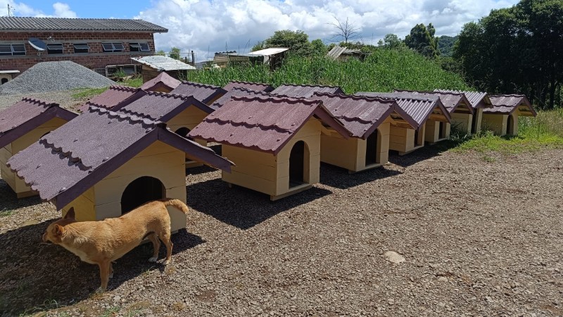 doação casinhas para cachorros