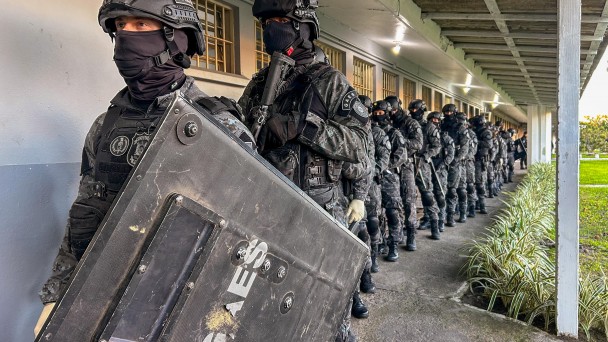 mute 3
